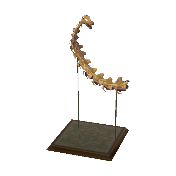 Apato Skull