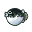 Poisson-ballon