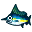 Marlin bleu