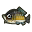 Carpe
