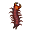 Mille-pattes