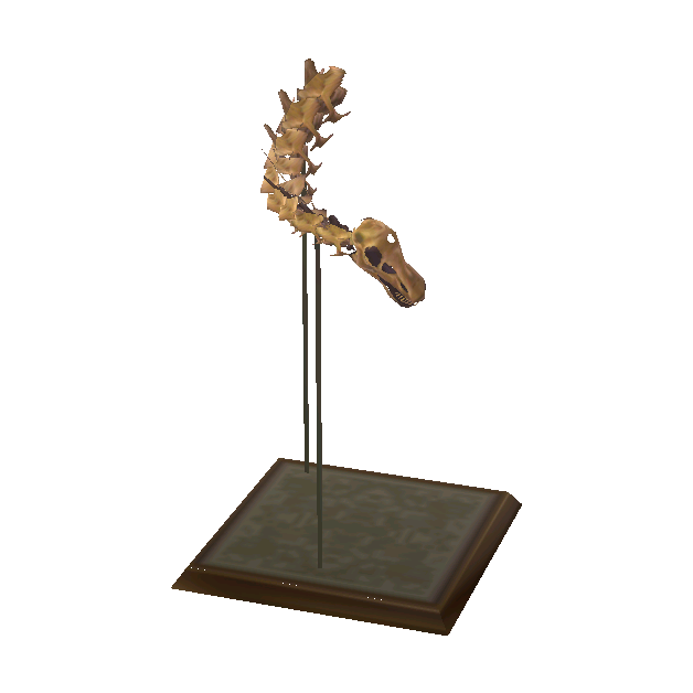 Crâne de diplodocus