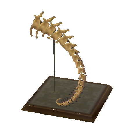 Queue de diplodocus