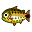 Dorado