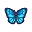 Morpho bleu