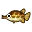 Gar