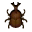 Scarabée kabuto