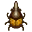 Scarabée Hercule