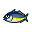 Chinchard