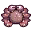 Horsehair Crab