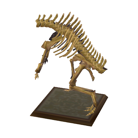 Torse d'iguanodon