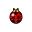 Coccinelle