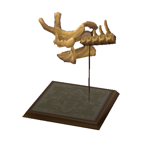 Megacerops Skull