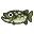 Brochet