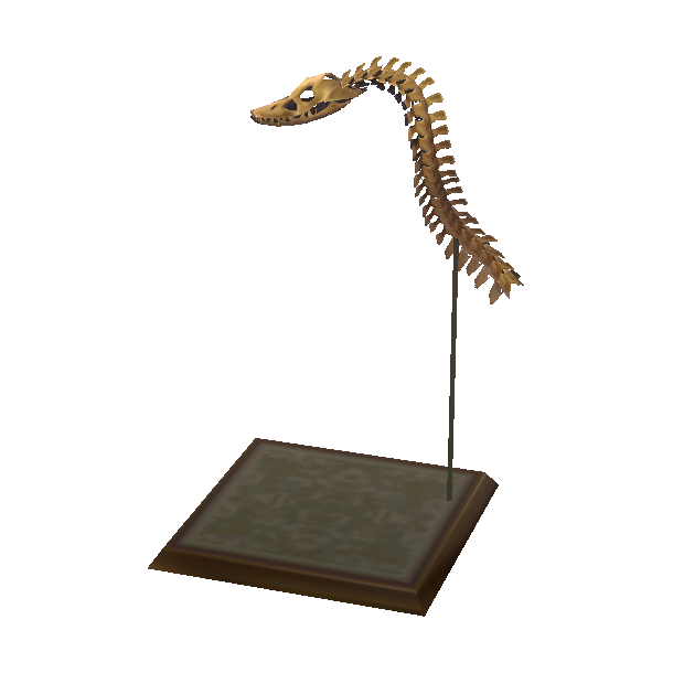 Crâne de plésiosaure