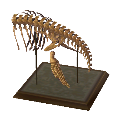 Corps de plésiosaure