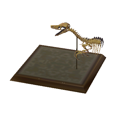 Raptor Skull