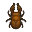 Lucane inclinatus