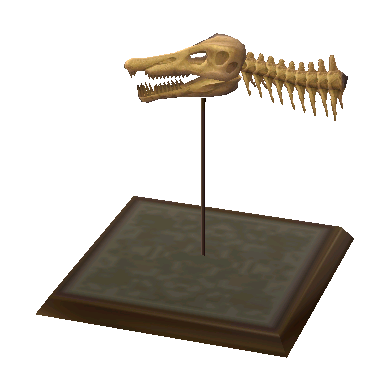 Spinosaurus Skull