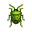 Punaise
