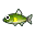 Ayu
