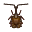 Mormolyce