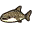 Requin-baleine