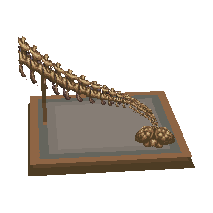 queue d'ankylosaure (Ankylo Tail)
