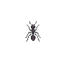 Fourmi (Ant)
