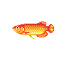 Arowana (Arowana)