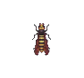 Abeille (Bee)