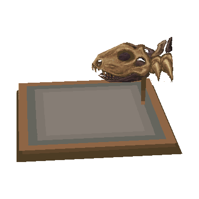 crâne de dimétrodon (Dimetrodon Skull)