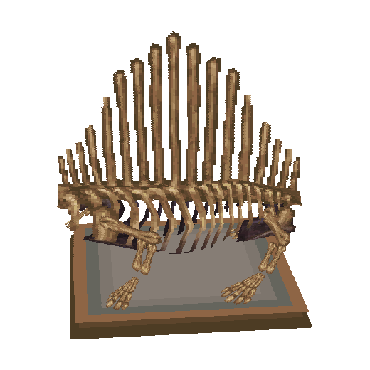 corps de dimétrodon (Dimetrodon Torso)