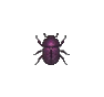 Bousier (Dung Beetle)