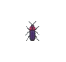 Luciole (Firefly)