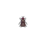Mouche (Fly)