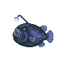 Poisson lanterne (Football Fish)