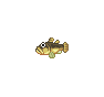 Gobie (Freshwater Goby)