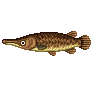 Gar (Gar)