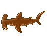 Requin marteau (Hammerhead Shark)