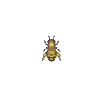 Abeille naine (Honeybee)