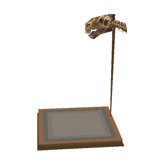 crâne d'iguanodon (Iguanodon Skull)