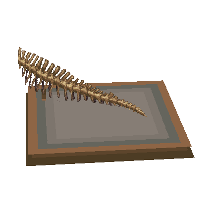 queue d'iguanodon (Iguanodon Tail)