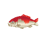 Carpe koï (Koi)
