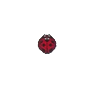 Coccinelle (Ladybug)