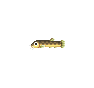 Loche d'étang (Loach)