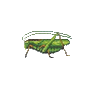 Sauterelle (Locust)