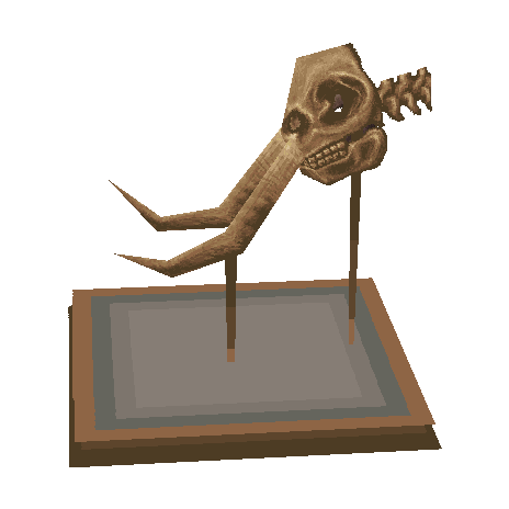 crâne de mammouth (Mammoth Skull)