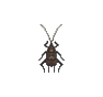 Taupe-grillon (Mole Cricket)