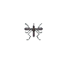 Moustique (Mosquito)